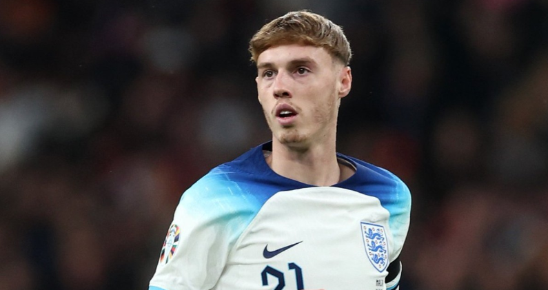 技术和对比 技术和对比