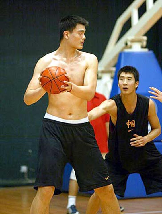 的对比分析 的对比分析