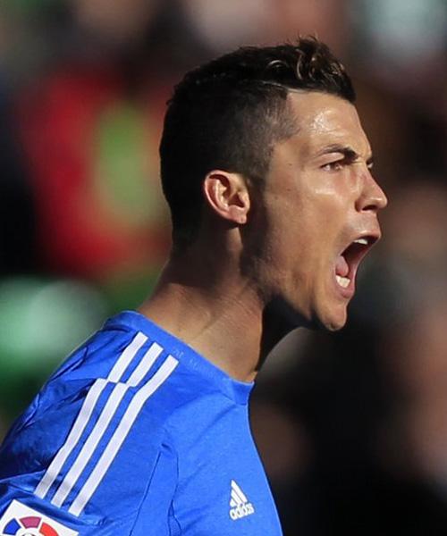 将上演精彩 将上演精彩