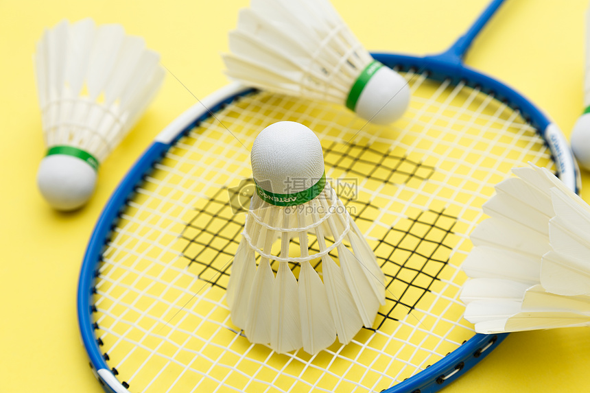 但籃網教練 但籃網教練