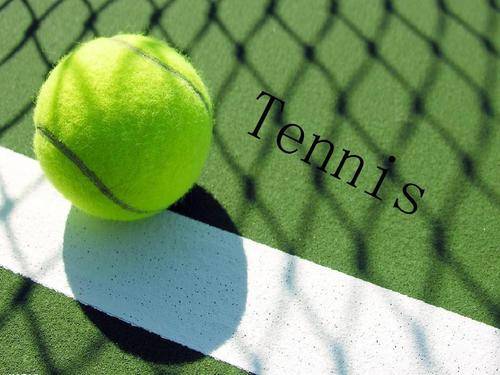 转会横滨D 转会横滨D